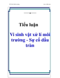 Tiểu luận: Vi sinh vật xử lí môi trường - Sự cố dầu tràn