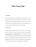 Viêm Vùng Chậu