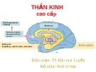 Hoạt động cao cấp của hệ thần kinh