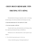 CHẨN ĐOÁN ĐỊNH KHU TỔN THƯƠNG TỦY SỐNG 