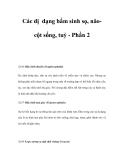 Các dị dạng bẩm sinh sọ, nãocột sống, tuỷ - Phần 2 