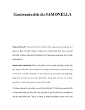 Gastroenteritis do SAMONELLASalmonella là gì? 