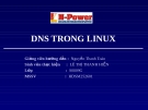 DNS trên LINUX