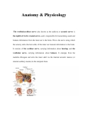 Anatomy & Physicology 