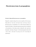 Pheochromocytoma & paraganglioma 