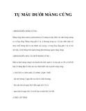 TỤ MÁU DƯỚI MÀNG CỨNG 