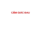 CẢM GIÁC ĐAU