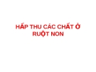 HẤP THU CÁC CHẤT Ở RUỘT NON