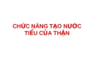 CHỨC NĂNG TẠO NƯỚC TIỂU CỦA THẬN