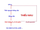 THIẾU MÁU