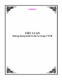 Tiểu luận: " Khủng hoảng kinh tế trong thời ki CNTB "