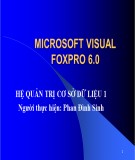 Bài giảng Microsoft visual foxpro 6.0 - Hệ quản trị cơ sở dữ liệu - Phan Đình Sinh