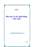 Báo cáo về các ngân hàng Việt Nam