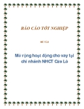 Mở rộng hoạt động cho vay tại chi nhánh NHCTCửa Lò