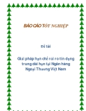 Đề tài: Giải pháp hạn chế rủi ro tín dụng trung dài hạn tại Ngân hàng Ngoại Thương Việt Nam