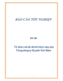 Đề tài: Tổ chức và tài chính hiện nay của Tổng công ty Cà phê Việt Nam