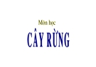 Giáo trình cây rừng part 1