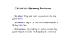 Giáo trình cây rừng part 4