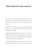 Bệnh dò động mạch cảnh xoang hang   