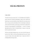 ĐÁI RA PROTEIN   