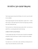 TUYẾN CẬN GIÁP TRẠNG   