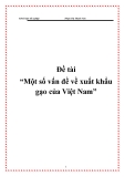 Đề tài “Một số vấn đề về xuất khẩu gạo của Việt Nam”