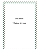 Đề tài:"Tiểu luận tài chính"