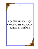 LỘ TRÌNH VÀ HỘI CHỨNG BỆNH CỦA 12 KINH CHÍNH