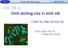 Báo cáo: Dinh dưỡng của vi sinh vật