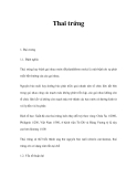 Tài liệu Thai trứng 