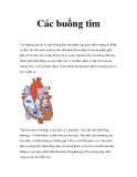 Các buồng tim