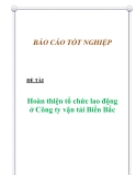 Đề tài "Hoàn thiện tổ chức lao động ở Công ty vận tải Biển Bắc"