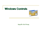 Windows Controls - Nguyễn Văn Phong