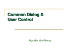  Common Dialog & Custom Control