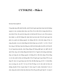 CYTOKINE – Phần 6 