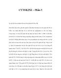 CYTOKINE – Phần 5 