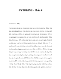 CYTOKINE – Phần 4 
