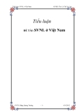 Tiểu luận: SVNL ở Việt Nam