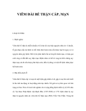 VIÊM ĐÀI BỂ THẬN CẤP, MẠN 