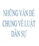 Tổng hợp các vấn đề về Luật Dân sự