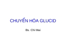 Bài giảng: Chuyển hóa glucid - BS. Chi Mai