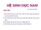 Đại cương Hệ Sinh Dục