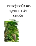 SỬ TÍCH CÂY CHUỐI