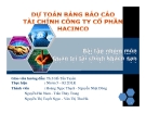 Bài tập quản trị tài chính khách sạn " dự toán bảng báo cáo tài chính công ty cổ phần Hacinco "