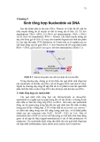 Chương 5  Sinh tổng hợp Nucleotide và DNA