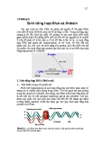 Chương 6 Sinh tổng hợp RNA và Protein