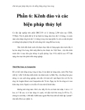 Thử tìm giải pháp thủy lợi cho đồng bằng sông Cửu Long - Phần 6: Kênh đào và các biện pháp thủy lợi