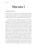 Vi sinh vật - Nấm men 1