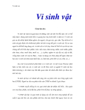 Vi sinh vật - Mở đầu