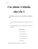 Vi sinh vật - Các nhóm vi khuẩn chủ yếu 3  